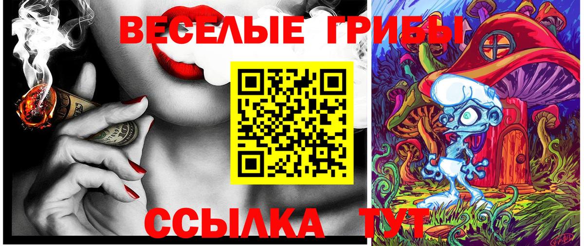 Соль-Илецк  что такое наркотик  Вход с VPN  Галлюциногенные грибы ЛСД 